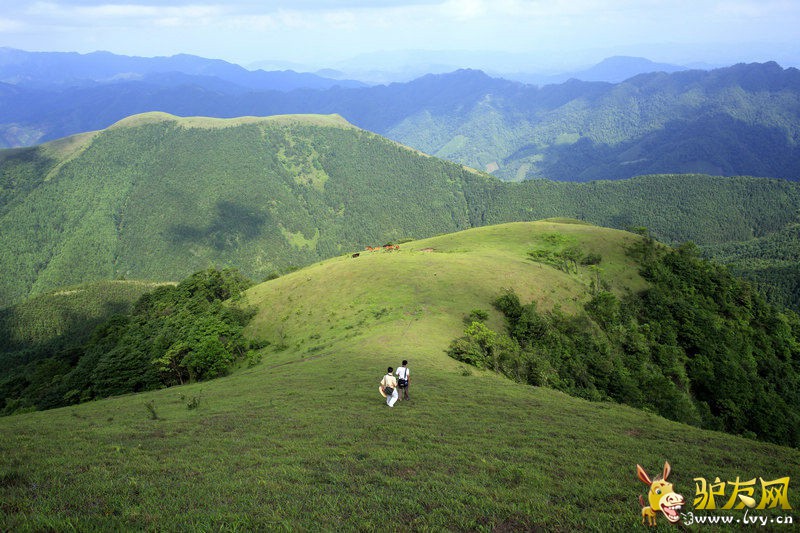 �޶�����ɽ (15).jpg