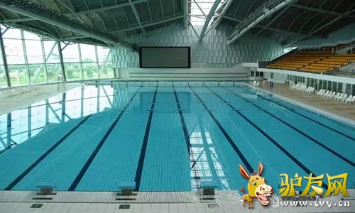 0.webp (5)_����.jpg