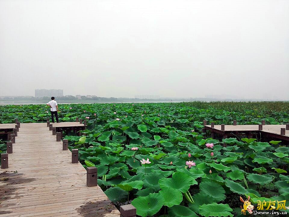 1755287p7a4u7zzyb7oup4 - ����.jpg